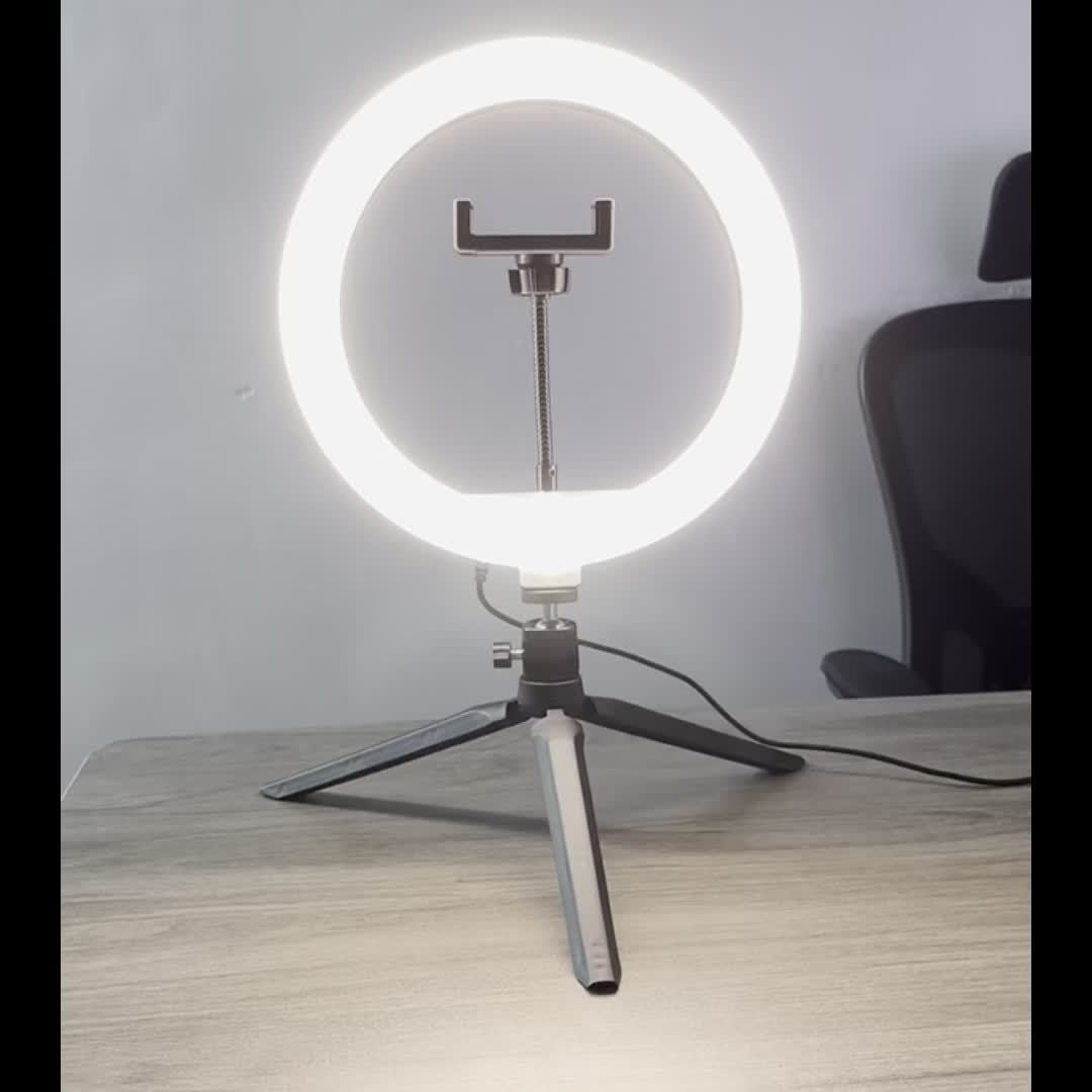 [Professional Fill Light Set] 10 Inch Professional Fill Light Set with 360° Rotation & Multifunctional Switch - Perfect for Photography & Videography!