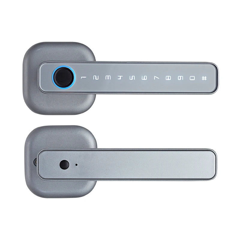RAYKUBE M6 Tuya BLE Bedroom Digital Electronic Lock Fingerprint Door Lock with Password/Key/IC Card/ Tuya APP Unlock From USA