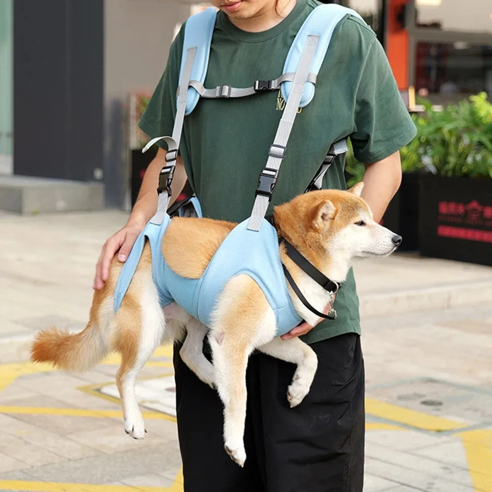 Pet Backpack Basket for Dog Things Dogs Pets Accessories Carriers Bags Cats Carrying Transport Bag Supplies Products Home Garden