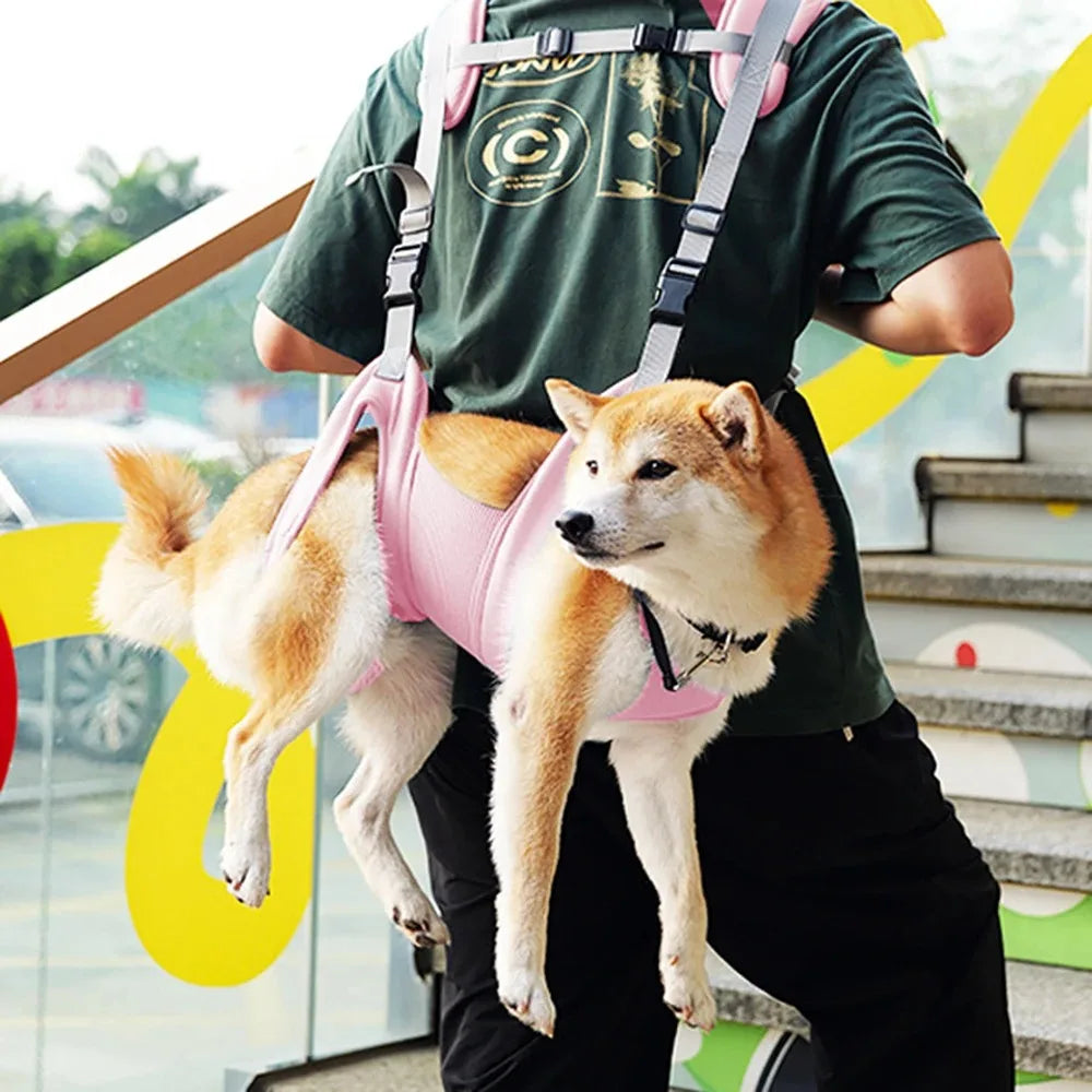 Pet Backpack Basket for Dog Things Dogs Pets Accessories Carriers Bags Cats Carrying Transport Bag Supplies Products Home Garden